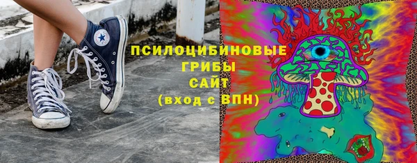 соль ск Арсеньев