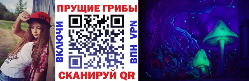 Купить закладки  Мурино  Псилоцибиновые грибы Magic Shrooms 