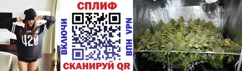 Купить закладки  Мурино  Бошки Шишки конопля 